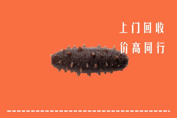 高价求购：鹰潭回收海参