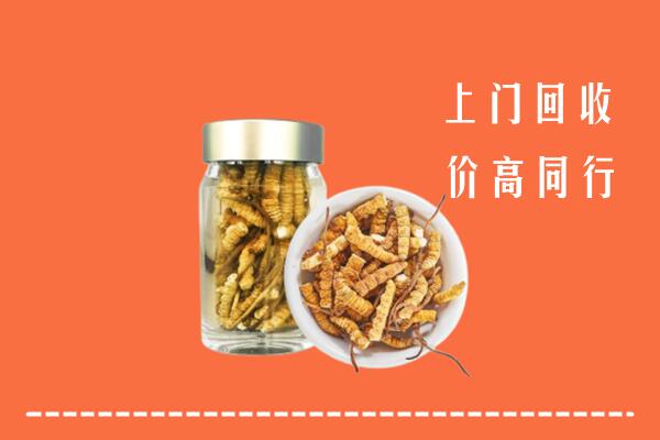 收购行情：鹰潭回收冬虫夏草